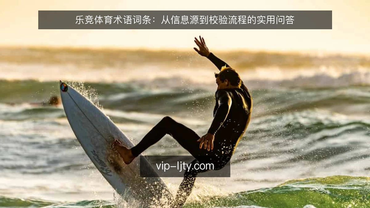 乐竞体育术语词条：从信息源到校验流程的实用问答