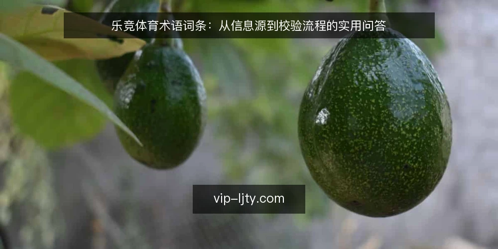 乐竞体育术语词条：从信息源到校验流程的实用问答 — 乐竞体育是什么：先厘清词条边界 配图